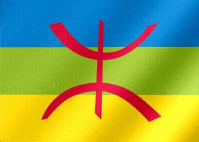 voila le meulieur drapeu du monde